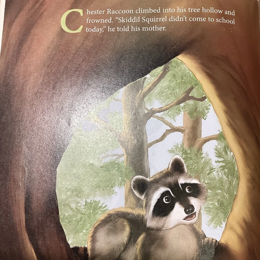 Chester Raccoon and the Acorn Full of Memories by Audrey Penn